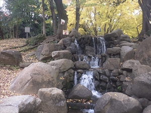 公園井戸設備改修工事